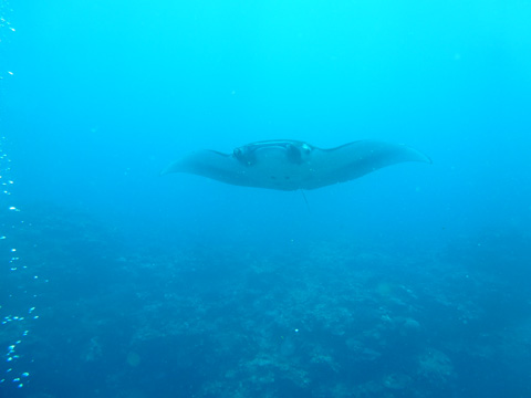 f0014842_19202546.jpg