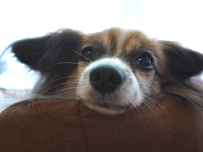 e0100046_16494091.jpg
