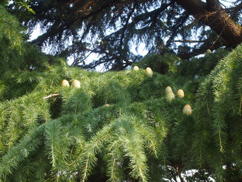 b0268454_1225138.jpg