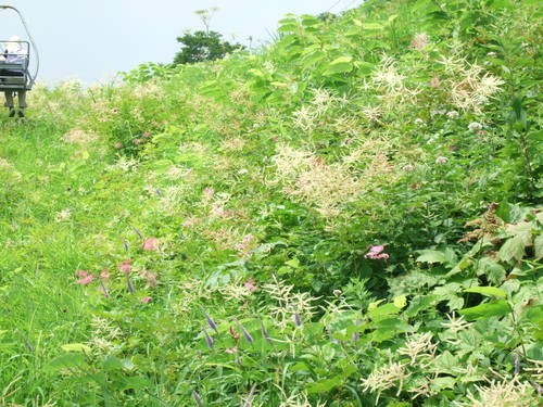 c0111557_13173677.jpg