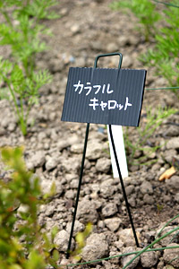f0229759_22125031.jpg