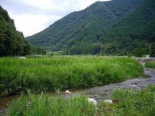 e0002466_19123188.jpg