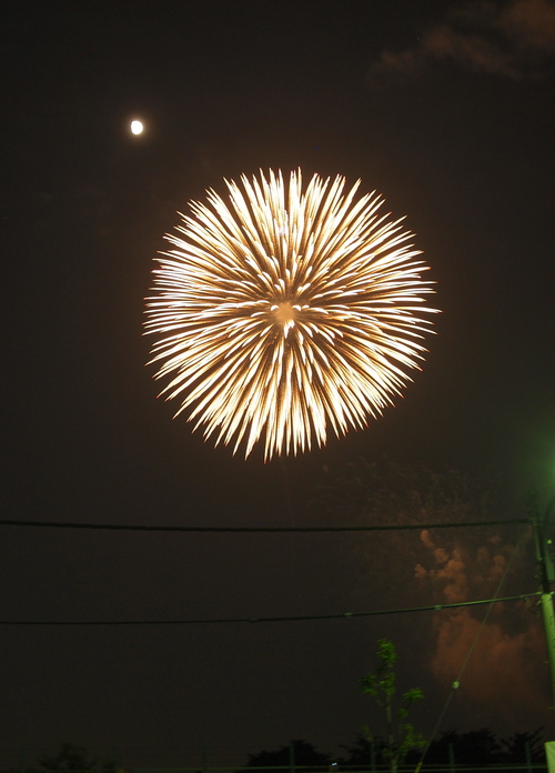 f0016868_971048.jpg