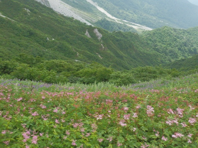 c0042869_2118248.jpg