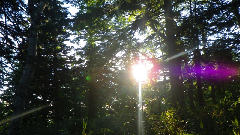 e0164571_21532019.jpg
