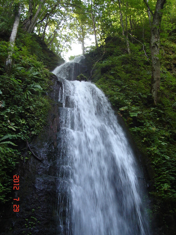 a0188775_10341763.jpg