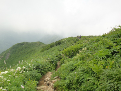d0182075_1011235.jpg