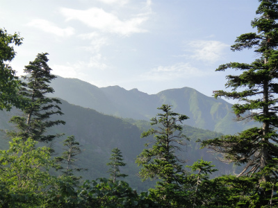 d0182075_919315.jpg