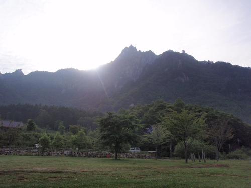 f0223480_1441427.jpg