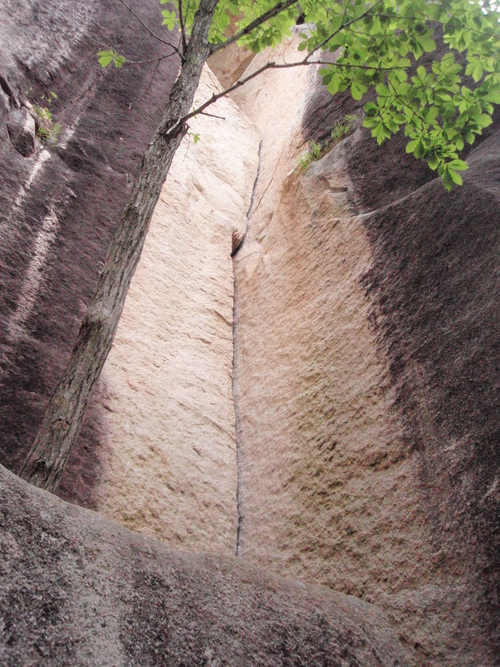 f0223480_14512999.jpg