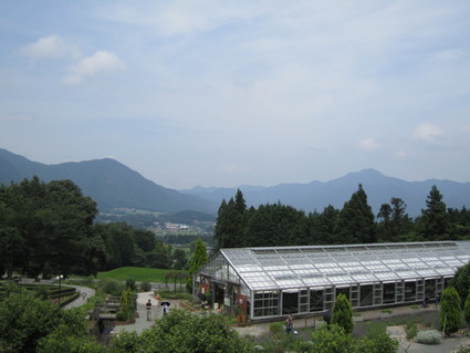 f0053885_20575827.jpg