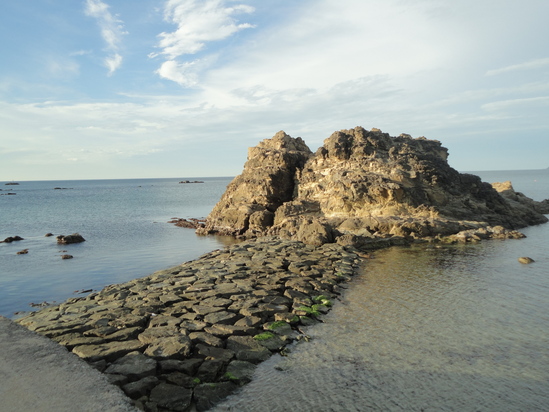 f0131491_1811446.jpg