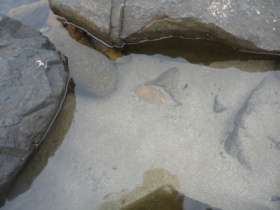f0131491_18115551.jpg