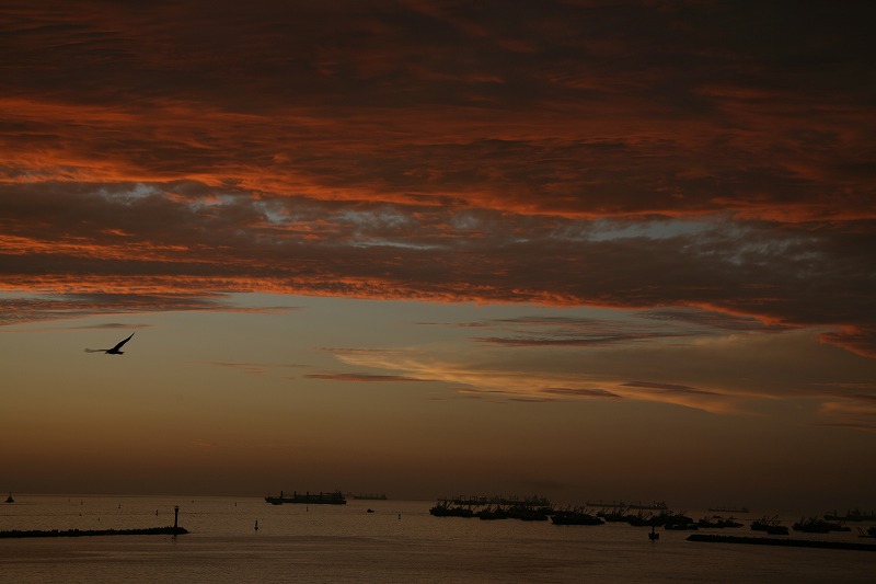 c0132496_240458.jpg