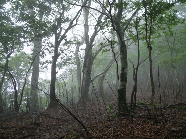 b0025101_13412431.jpg