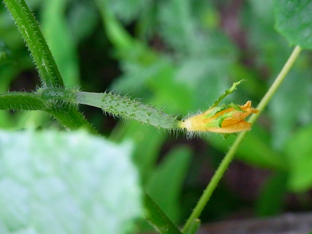 f0157901_204526.jpg