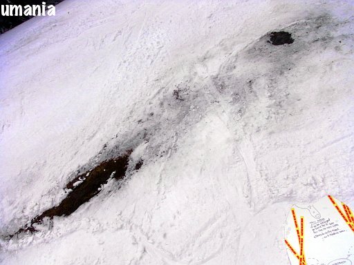 b0061004_2143156.jpg