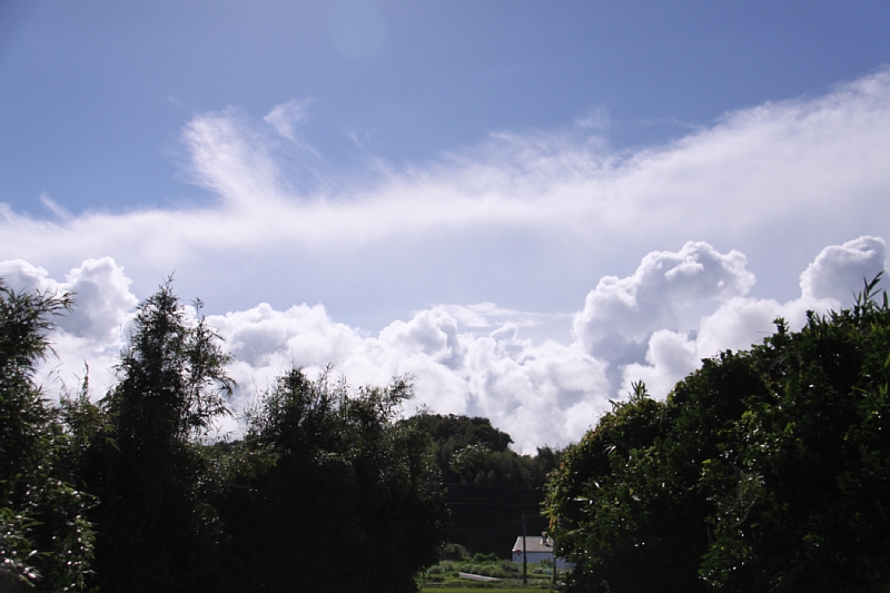 e0250807_046221.jpg