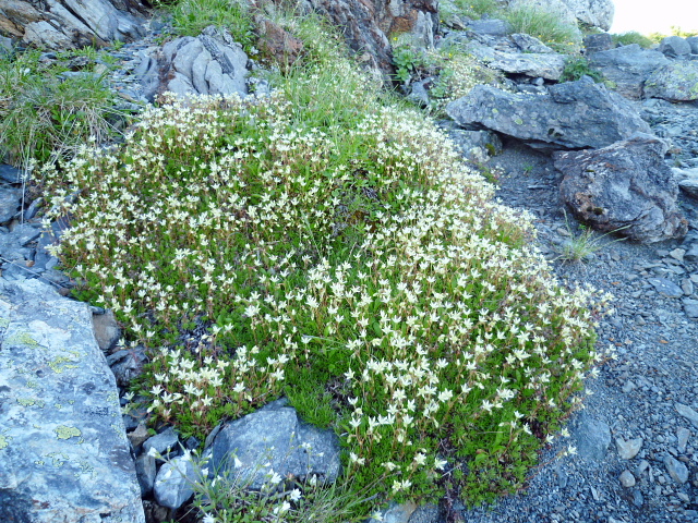 d0170615_555434.jpg
