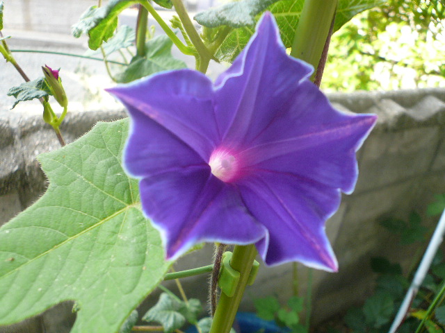 e0026017_14201654.jpg