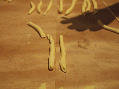 c0103119_13163249.gif