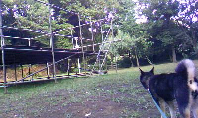 d0024220_22164369.jpg