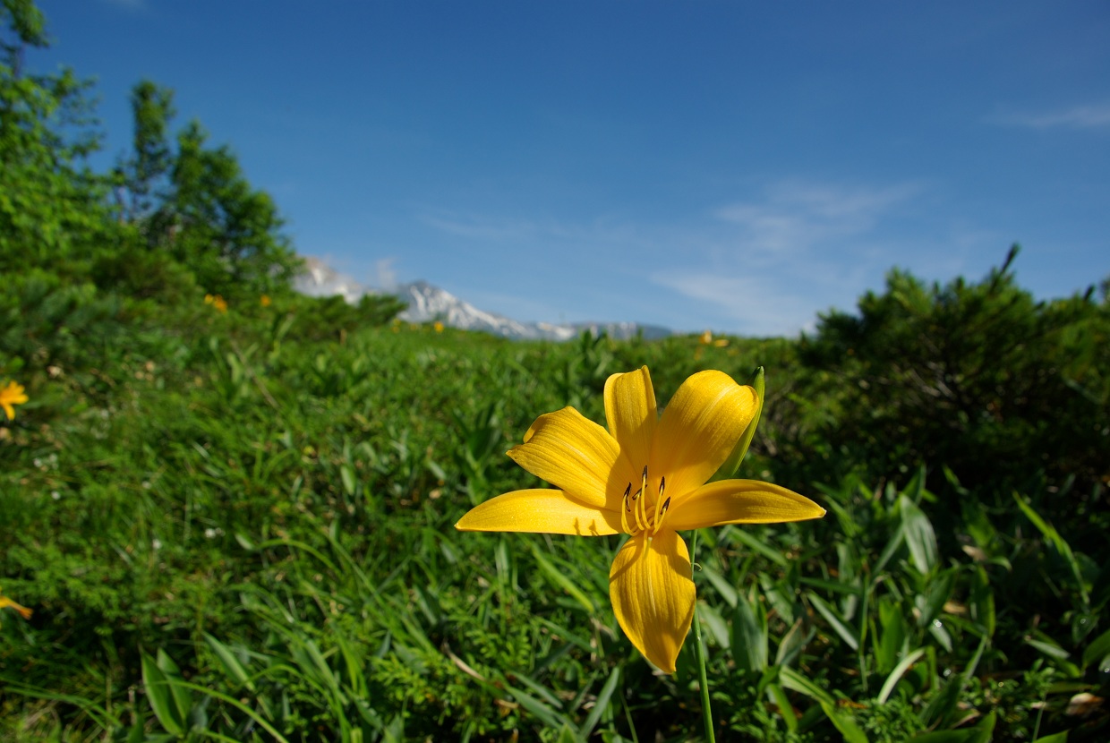 b0062024_22304563.jpg