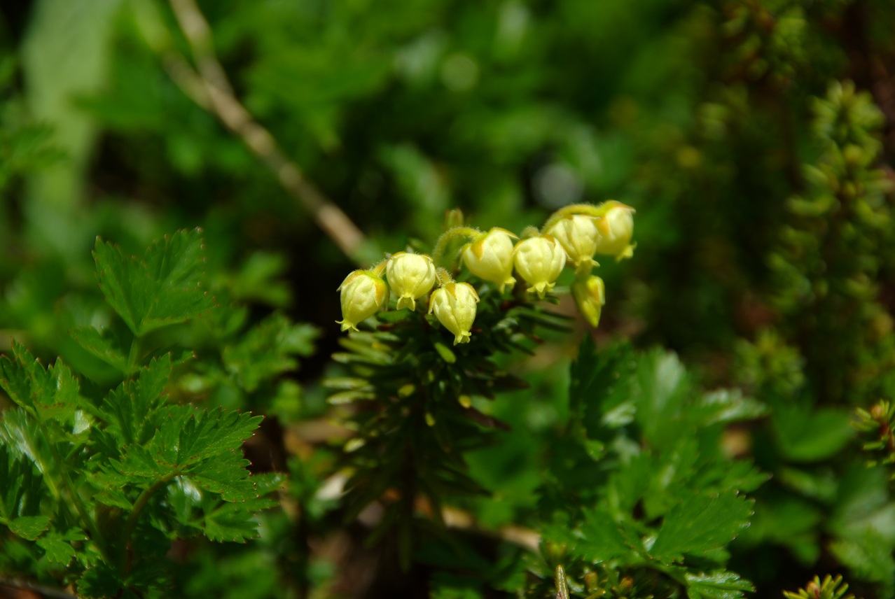 b0062024_22364990.jpg