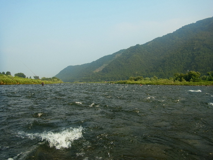 f0103126_20481990.jpg