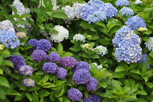 a0248728_17231751.jpg