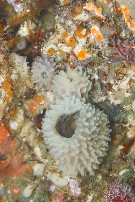 c0034029_23325960.jpg
