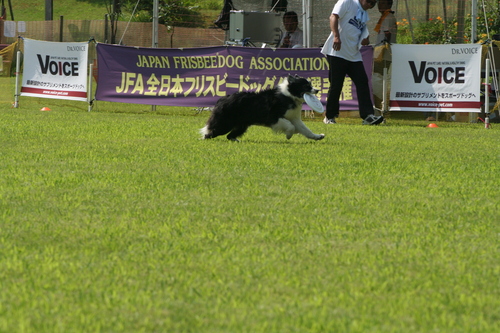 b0085331_1544987.jpg