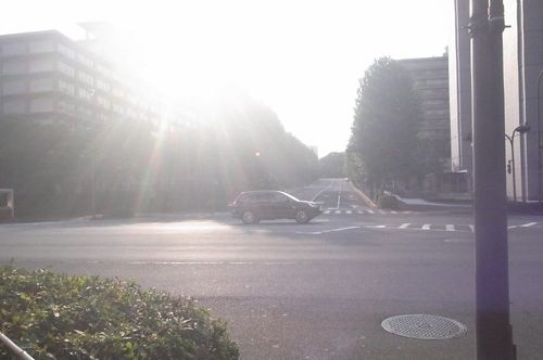 c0111535_064832.jpg