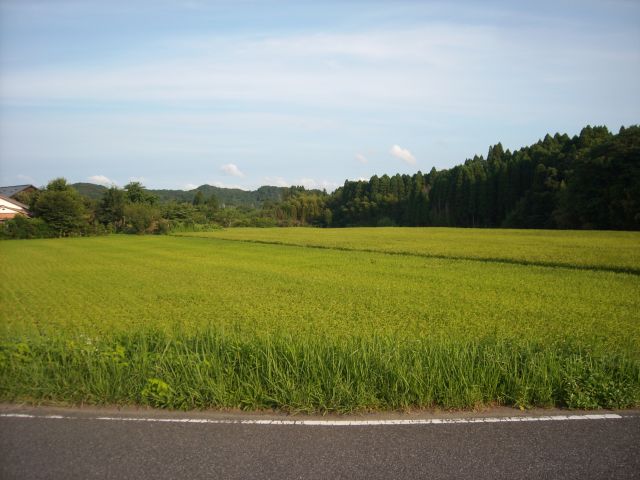 b0174236_22501844.jpg