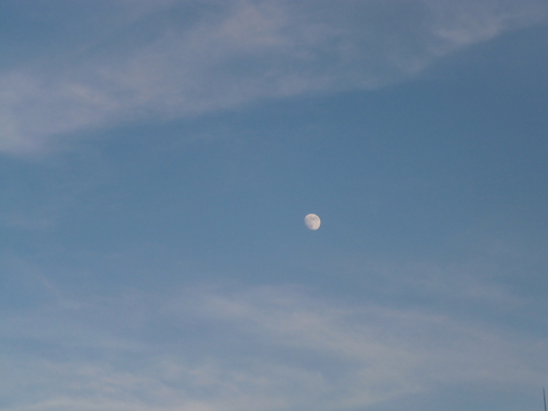 e0121548_2184637.jpg