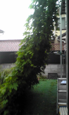 d0018957_21274988.jpg