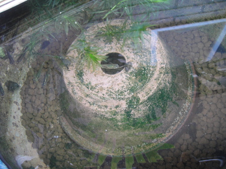 c0108460_1624952.jpg