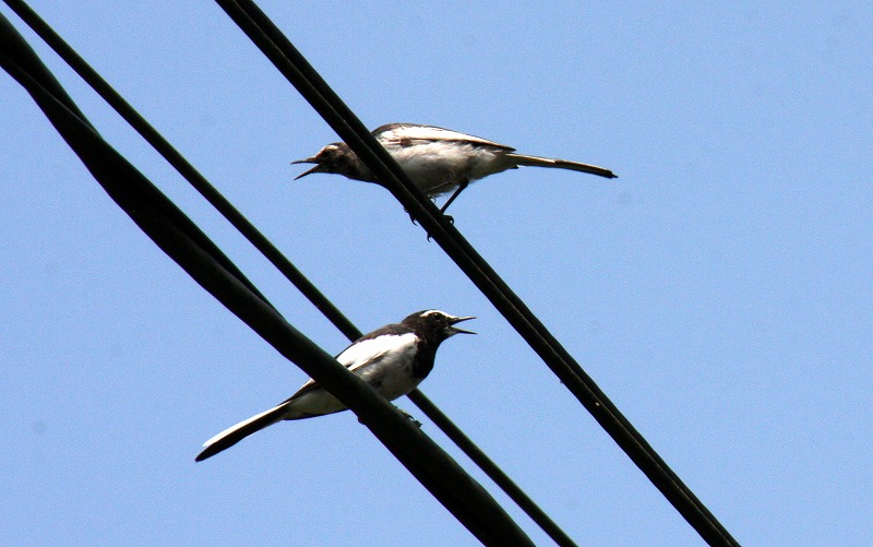 d0244960_20543139.jpg