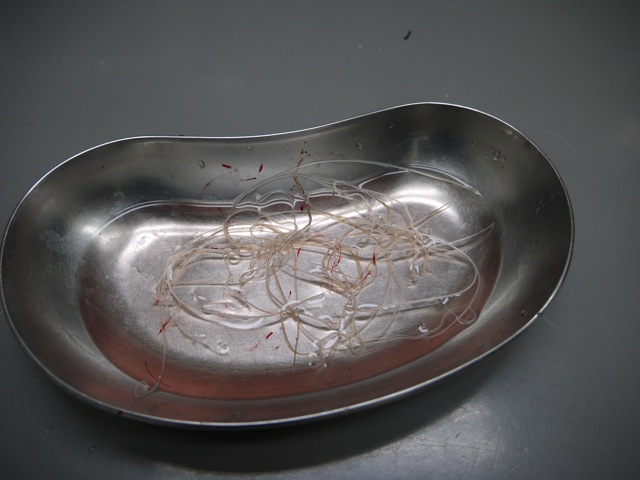 f0177261_8541488.jpg