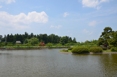 e0271864_17571881.jpg