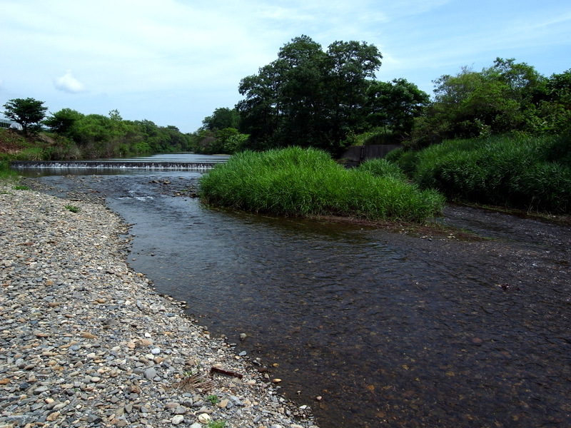 b0130166_1929347.jpg