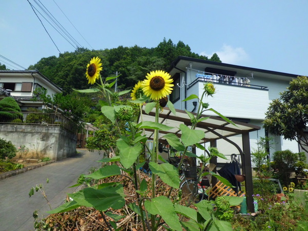 d0233866_227143.jpg
