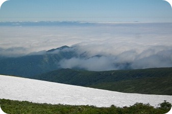 c0248067_1529816.jpg