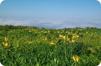 c0248067_15353833.jpg