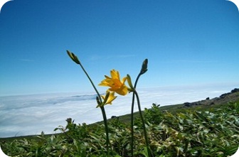 c0248067_1535476.jpg