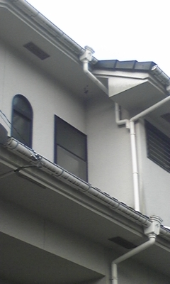 e0143667_8405961.jpg