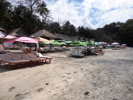 d0083068_451233.jpg