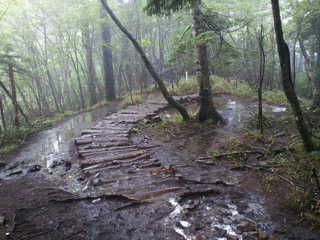 f0117673_23431857.jpg