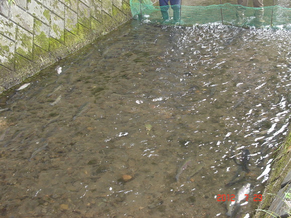 a0188775_14312536.jpg