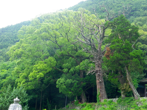 b0053478_10215339.jpg